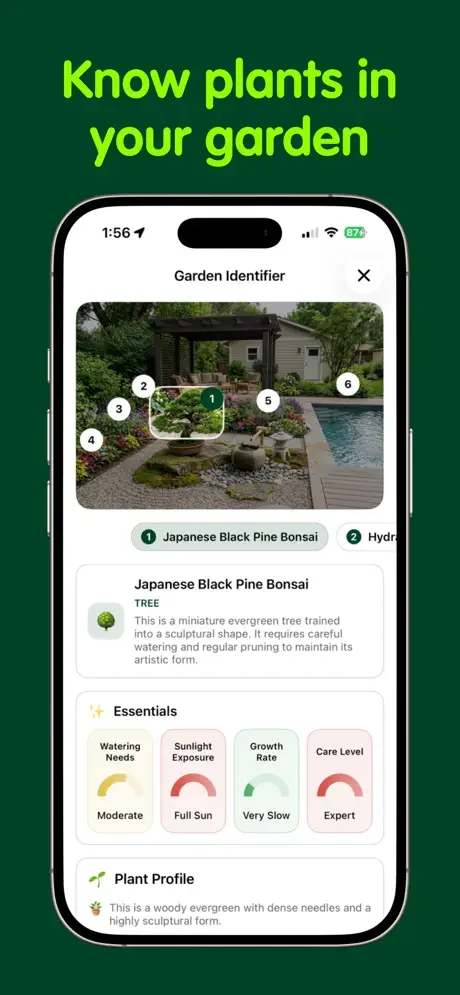 Garden Identifier feature identifying plants with AI detection and displaying care instructions for bonsai tree