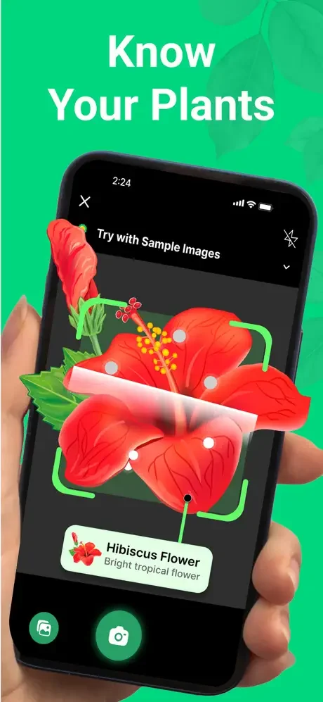 ePlant app interface showing Know Your Plants feature with Hibiscus Flower identification example and camera/gallery buttons