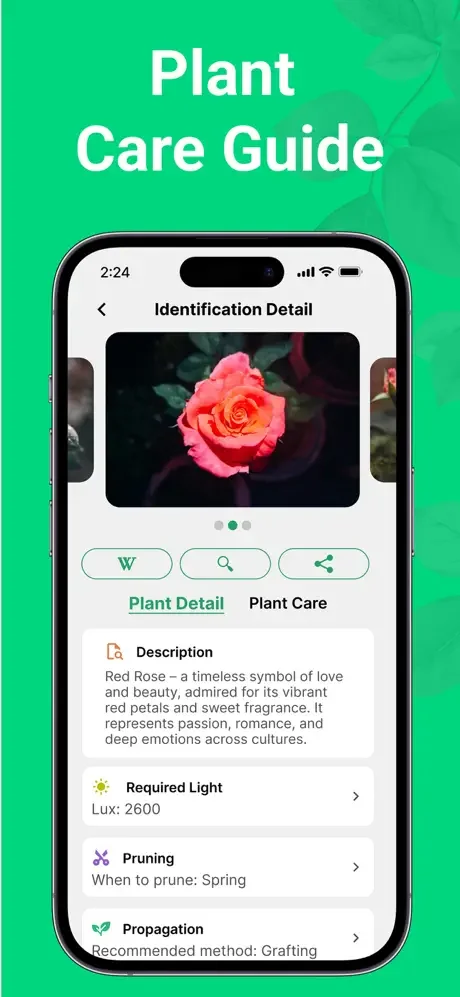 Plant identification detail screen showing red rose with care guide: light requirements, pruning schedule, and propagation tips