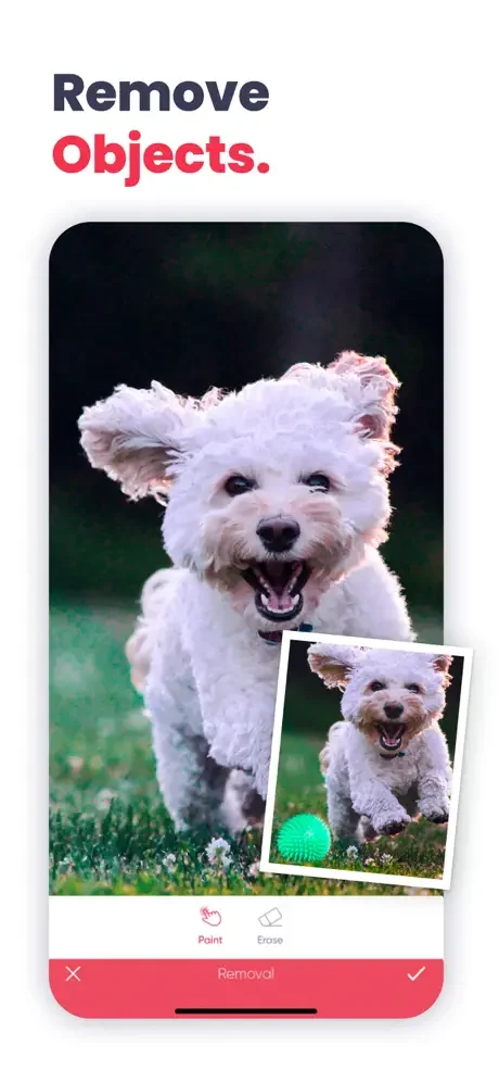 Anylight object removal tool using AI to erase unwanted elements from photos with paint and eraser options