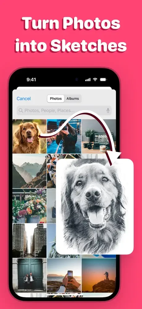 Photo gallery interface showing photo-to-sketch transformation of dog image in AR Drawing app feature