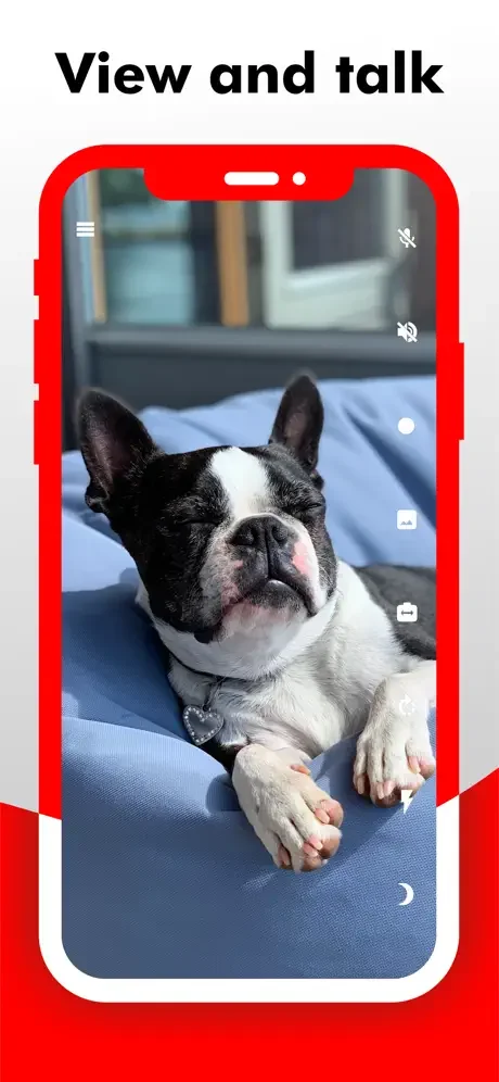 View and talk feature in Camy showing live video of black and white dog on bed with two-way audio communication capability enabled
