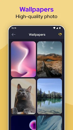 High-quality wallpaper gallery grid with nature, aurora, and landscape images for dark mode customization