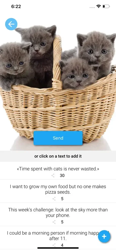 Kittens category displaying gray kittens in basket with Send button, funny text suggestions, and quote reaction counter