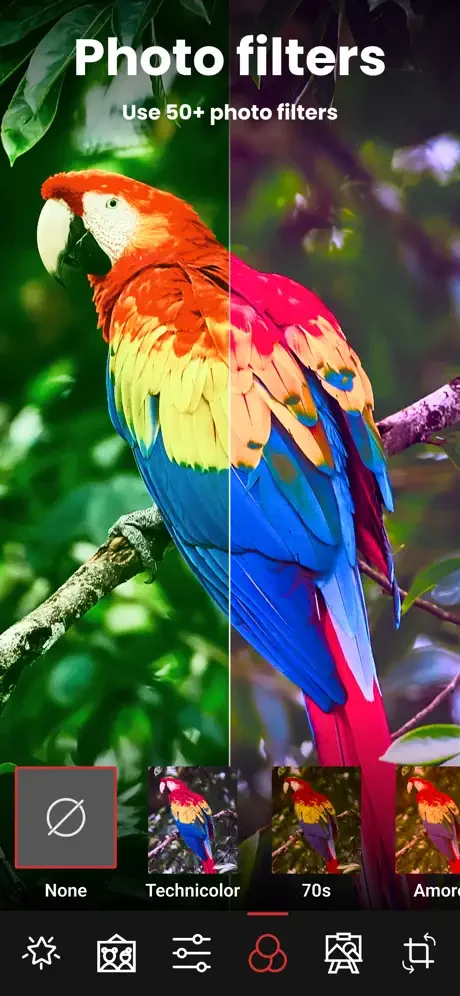 Photo filters feature with 50+ effects including Technicolor and 70s, split view showing enhanced colored parrot image