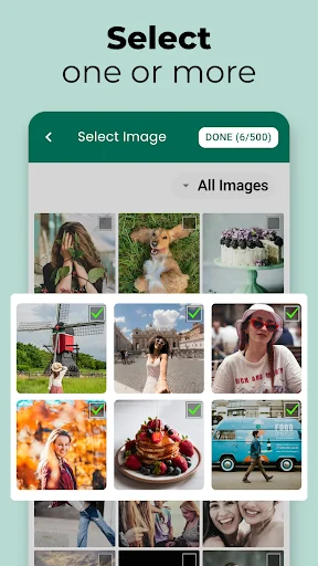 Image gallery with multiple photos selected for batch processing, showing selection counter and all images filter view