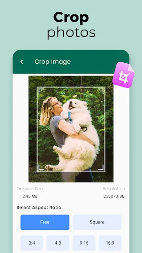 Photo crop tool displaying aspect ratio presets including Free, Square, 3:4, 4:3, 9:16, and 16:9 with dimensions