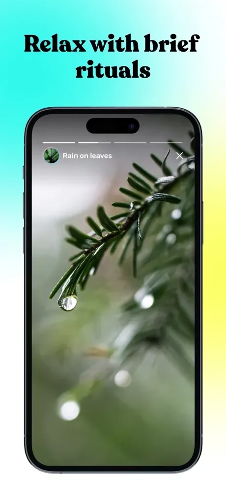 Relax feature displaying Rain on Leaves meditation with nature ambiance of green leaves and water droplets for stress relief during fasting