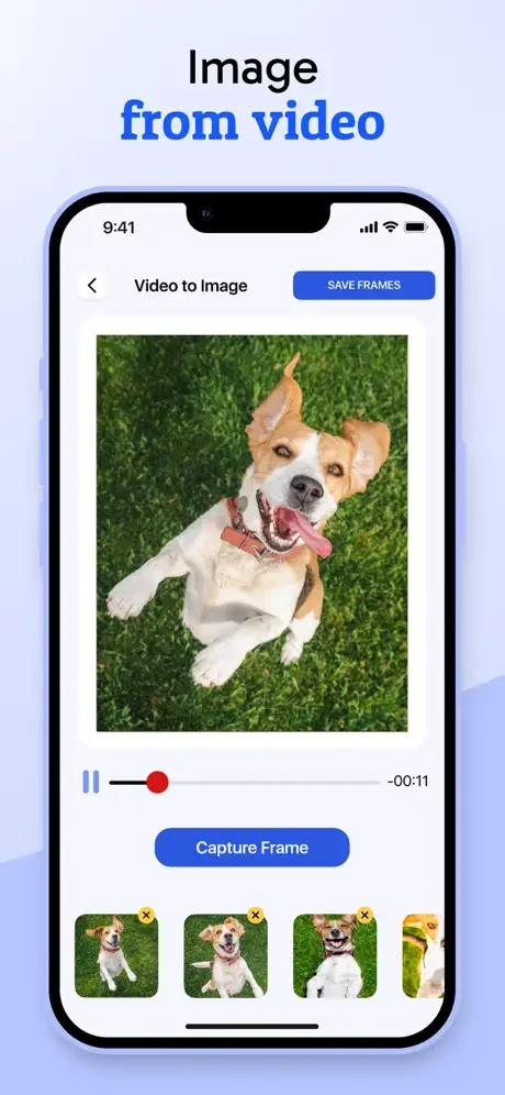 Video to image converter extracting frames from videos with playback controls and capture button to save individual frames as image files