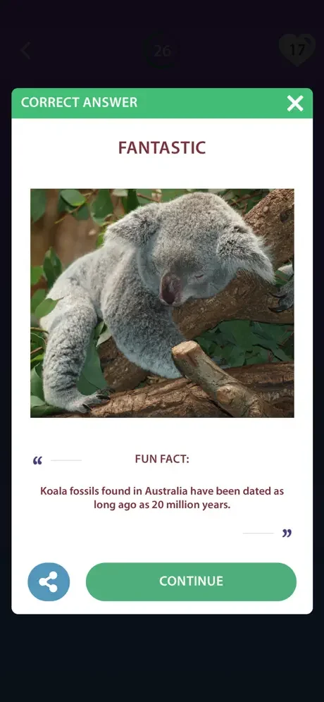 Correct answer feedback screen with fun fact about koalas and Continue button for next question