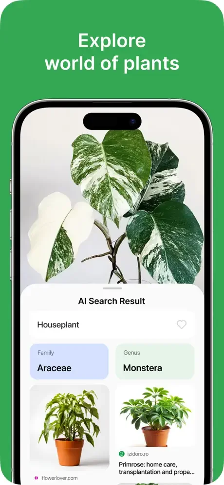 Plant identifier showing Monstera houseplant with AI search results displaying plant family Araceae, genus Monstera, and care