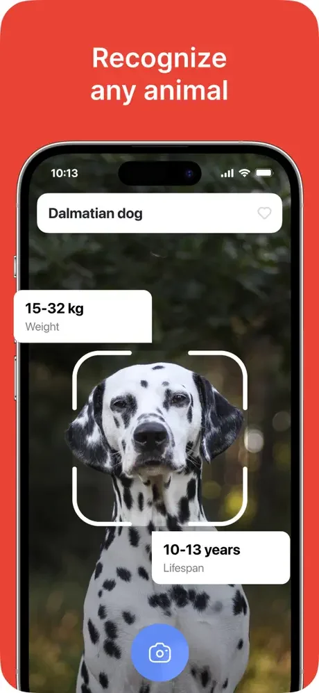 Animal recognizer displaying Dalmatian dog breed with AI identification showing weight range, lifespan, and species information