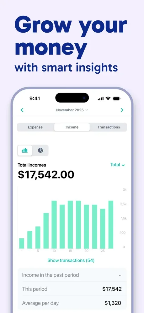 Income analytics showing November bar chart with $17,542 total income, 54 transactions, and average daily income of $1,320