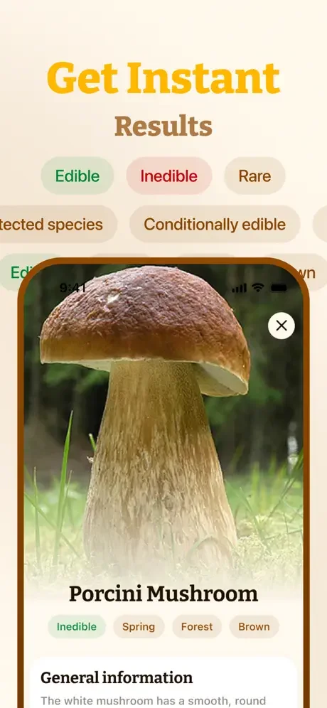 Instant mushroom identification results with edibility status, seasonal tags, location, and detailed species information