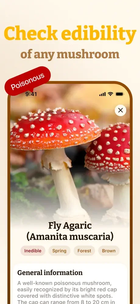 Poisonous mushroom checker for Fly Agaric showing toxicity warnings, edibility status, seasonal details, and safety information