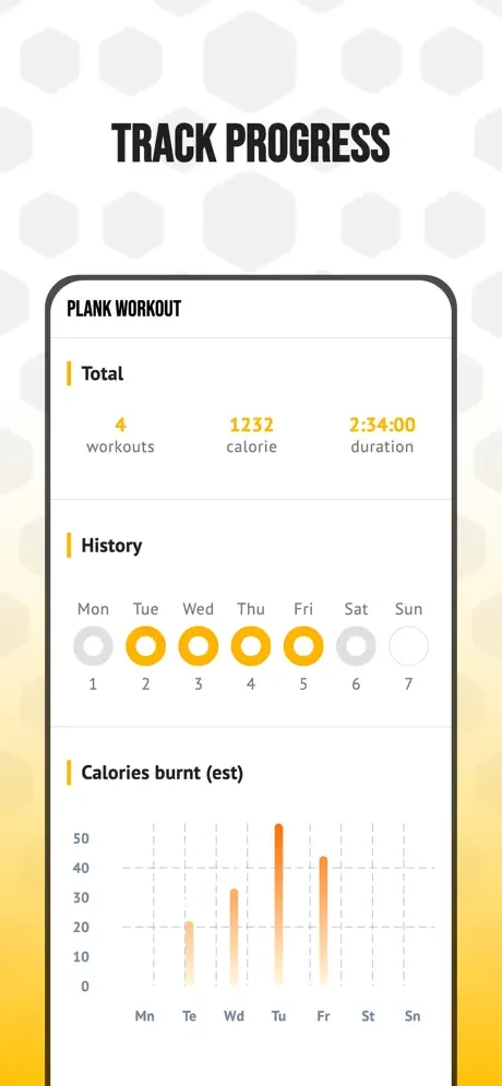 Plank workout progress dashboard tracking total workouts, calories burned, weekly history, and fitness statistics