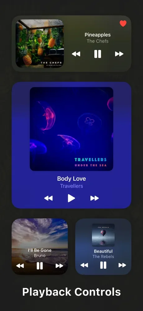 Music widget playback controls featuring previous, pause, play, and next buttons for song navigation and control