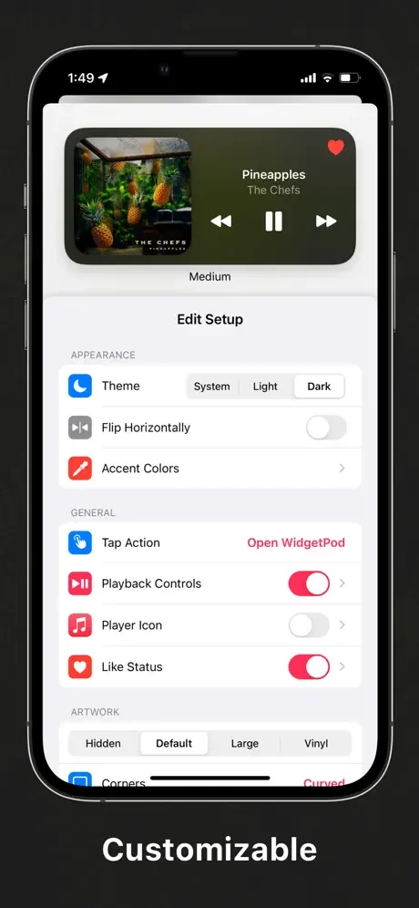 WidgetPod customization settings with theme options, accent colors, artwork styles, and playback control toggles